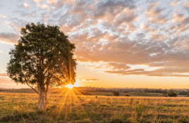 Byford Settlements office – commercial property settlement specialists in Perth